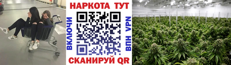 Хочу наркоту Юрюзань Канабис A PVP Cocaine ГАШИШ МЕФ