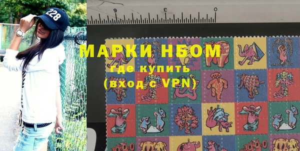 шишки Новодвинск