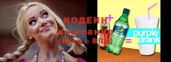 крисы Новозыбков
