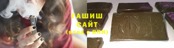 шишки Новодвинск