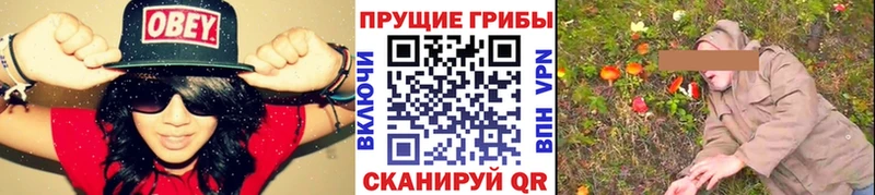 Псилоцибиновые грибы Cubensis  сколько стоит  Юрюзань 